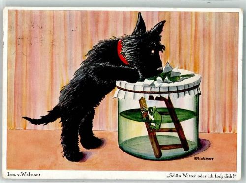 Scottie Dog sign. von Walmont Irm. Schön Wetter oder ich freß dich Verlag Köhn Nr.1493