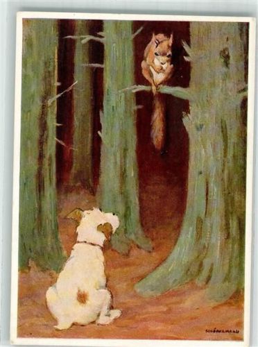Unerreichbar Hund Eichhörnchen Verlag Josef Müller Nr. 14032