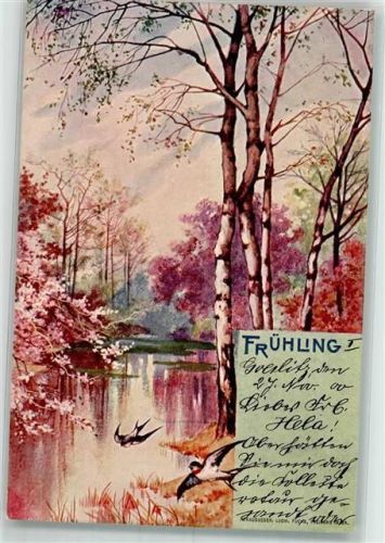 1900 Frühling Schwalben Birken