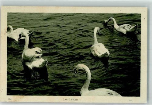 1923 Genfer See LL Nr.520