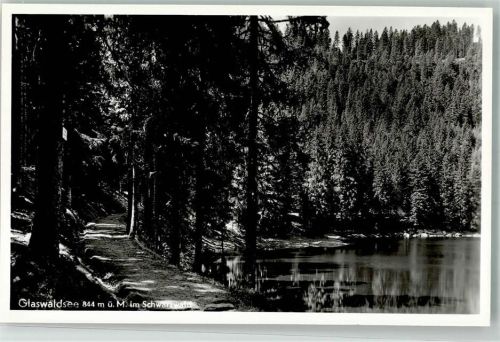 Schapbach Glaswaldsee