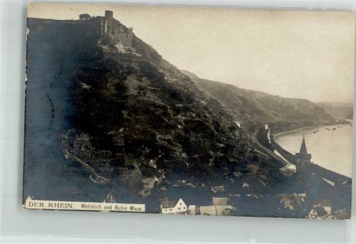 Wellmich Burg Ruine Maus