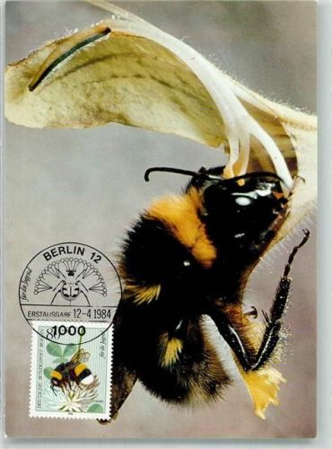 7/1984 Erstausgabe Berlin Für die Jugend Erdhummel