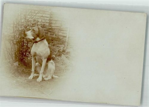 1900