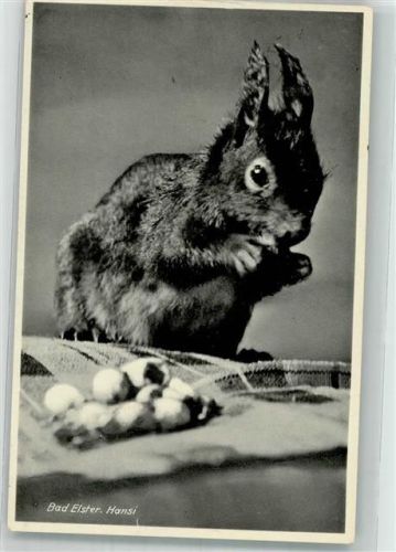 Bad Elster 1939 Hansi frißt Nüsse