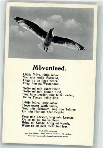 Mövenleed F.V. Nr.262
