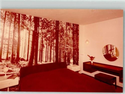 Haidmühle Gästezimmer im Appartement-Hotel Foto Original aus Archiv eines Ansichtskartenverlags Ort handschriftlich