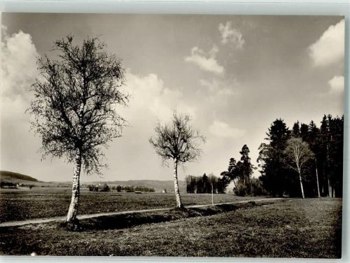 Wilhelmsdorf Riedlandschaft