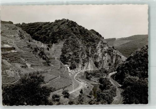 Walporzheim Bunte Kuh Weinberge Felsen Foto Original aus Archiv eines Ansichtskartenverlags