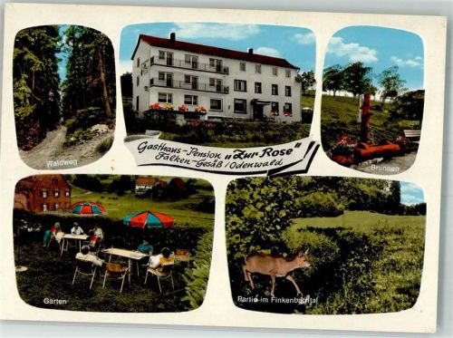 Falken-Gesäß Gasthaus Pension Zur Rose Jungbornbrunnen Reh im Finkenbachtal
