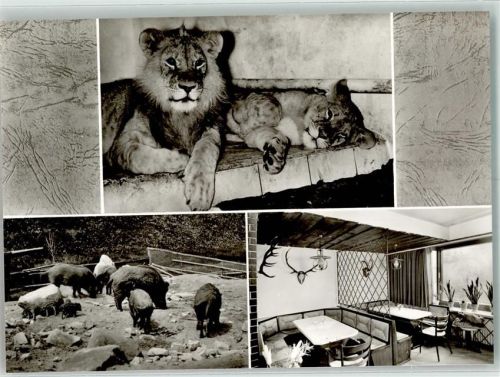 Oberndorf Gasthaus Raststätte Superstübchen Löwen Wildschweine