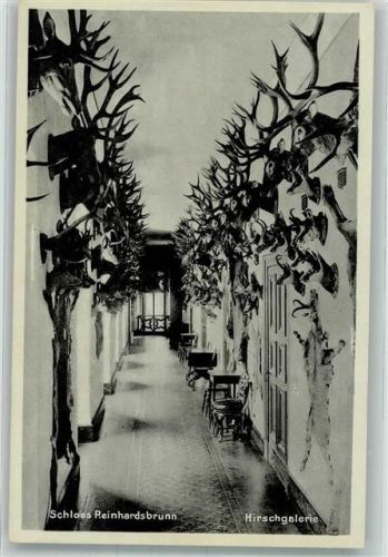 Friedrichroda 1935 - 1945 Schloß Reinhardsbrunn Hirschgalerie Jagd