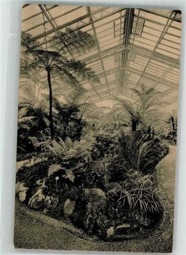 80331 W8000 Nymphenburg Foto AK Ausstellung Botanischer Garten