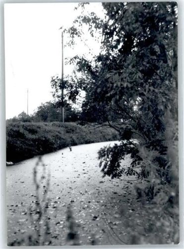 Drochtersen Flusspartie, Fotoabzug