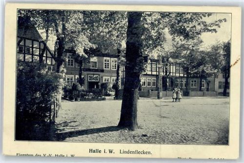 Halle Lindenflecken