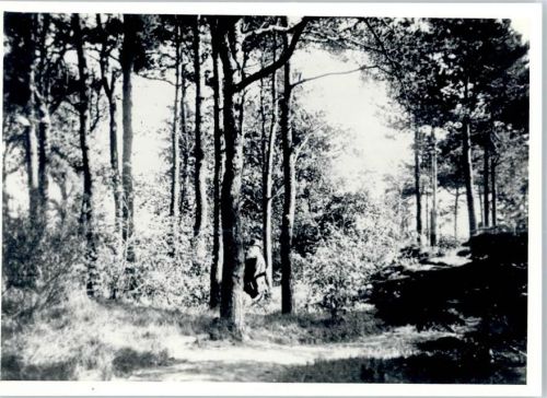 Achim Fotoabzug