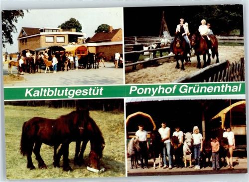 Albersdorf Ponyhof Grünenthal , (keine Ak-Einteilung)