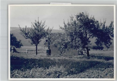 Grießen Ansichtskartenvorlage Original Foto Format ca. 17,5x12,5cm