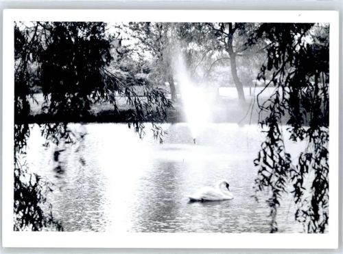 Brunsbüttelkoog Fotoabzug, Teichpartie, Schwan, Fontaine
