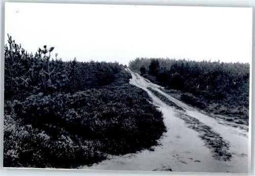 Tosterglope Feldweg, Fotoabzug