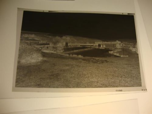 Friedewald Negativ