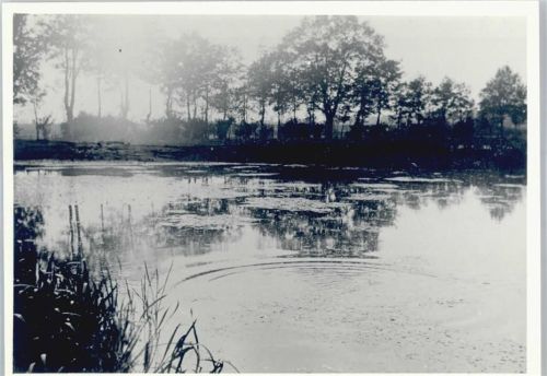 Bergen Teich , Fotoabzug
