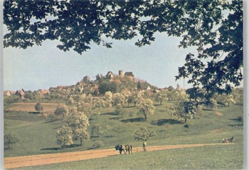 Otzberg Rinderpflug Bauer Burg
