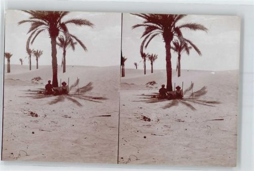 Biskra Stereofoto, Rast im Palmenschatten, Sahara-Wüste begräbt die Oase Touggourt