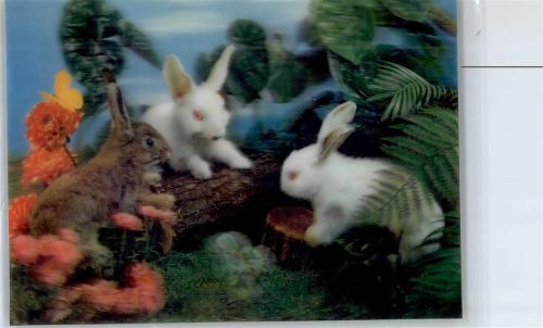 3D Karte