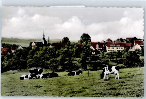 Dhünn Kuhweide
