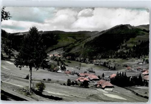 Menzenschwand