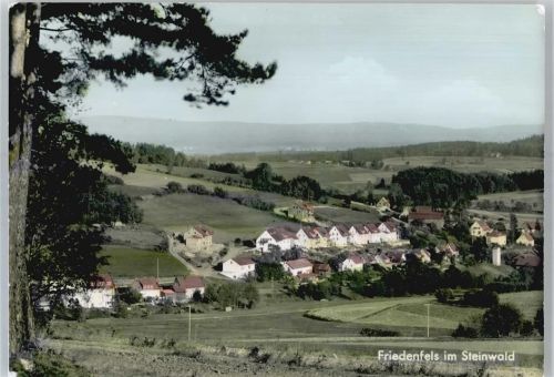 95688 W8591 Friedenfels - Stadtbild