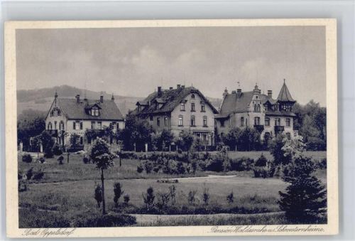 Bad Oppelsdorf Pension Waldesruhe und Schwesternheime