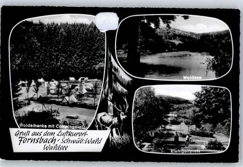 Fornsbach Waldsee Kleingolfsplatz Campingplatz