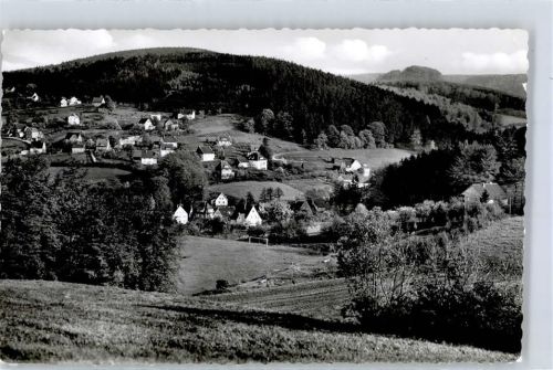 Berlebeck Blick zum Stemmberg