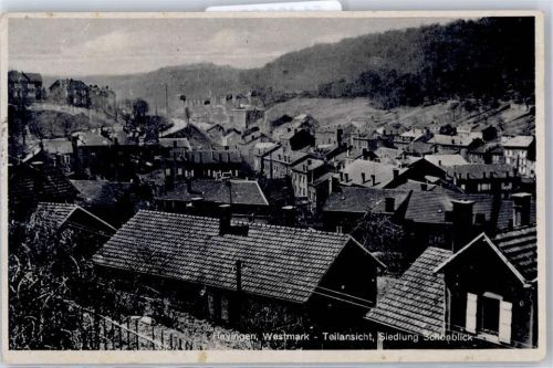 Hayingen