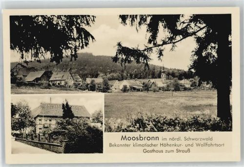 76571 W7560 Moosbronn