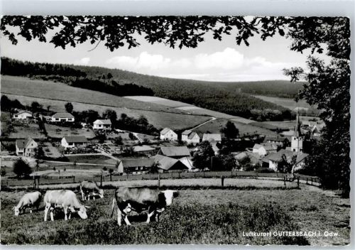 Güttersbach 1965 Kirche Kühe