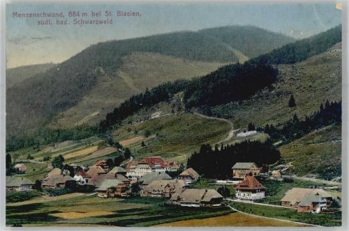 79837 W7821 Menzenschwand 1914