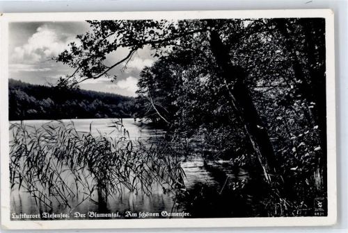 Tiefensee Blumental Gamensee