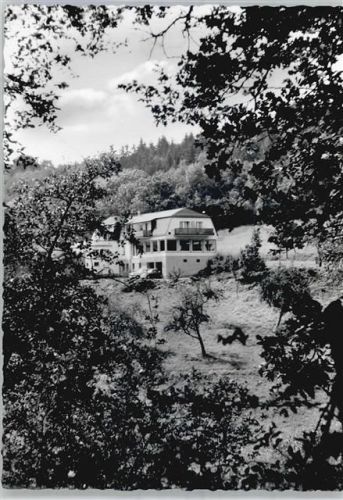 Usingen Gasthaus zur Runkelsteiner Mühle