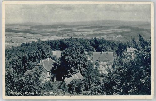 Felsberg Blick vom Ohlyturm