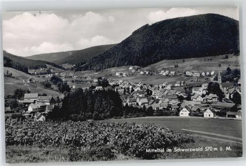 Mitteltal