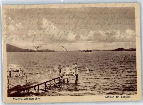 Malente Möwen am Seesteg