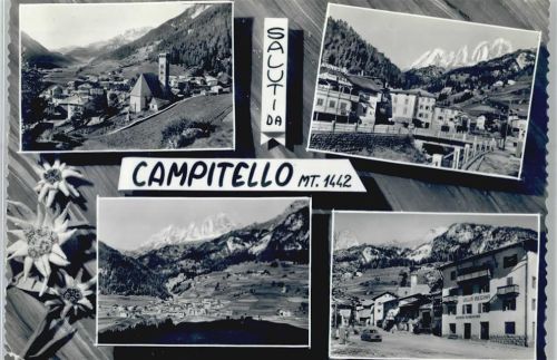 Campitello Südtirol Pension Villa Regina