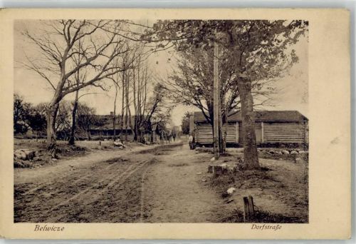 Dorfstraße Belwicze