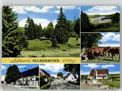 37603 W3450 Silberborn