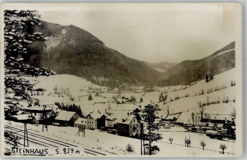 4641 Steinhaus 1940 Winter