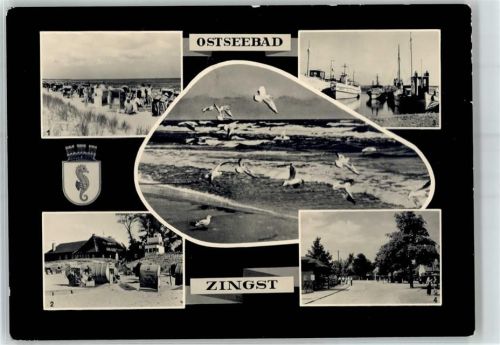 Zingst Möwe Hafen Kutter Badestrand Strandhalle