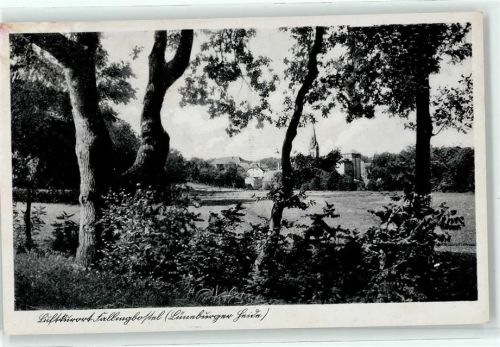 Fallingbostel Blick auf die Stadt